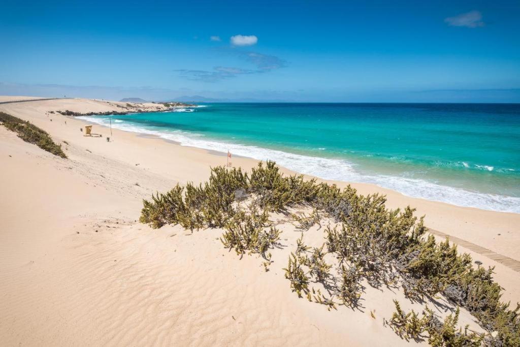Los Majos Fuerteventura Тарахалехо Екстериор снимка